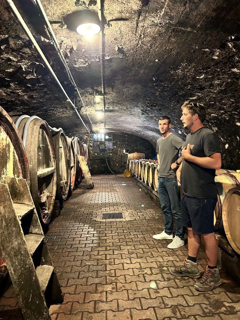 Maxime Bossonnet and Pierre Cotton in the cellar at Domaine Bonnet-Cotton.