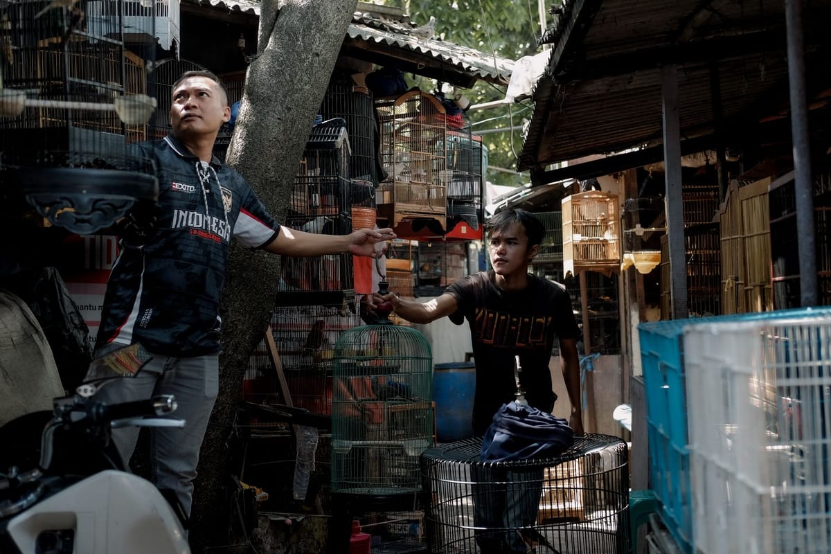 5 Indonesian Nobar Screenings in Singapore Delivering World Post feature image