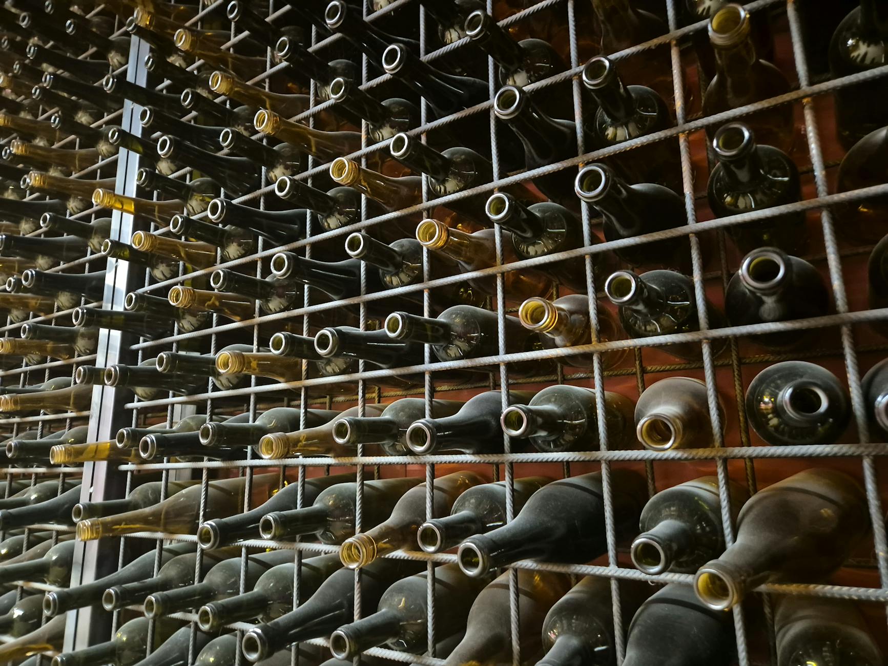 Sochill Bath Club review: Holland Village’s new cold plunge spot for social wellness seekers Post image