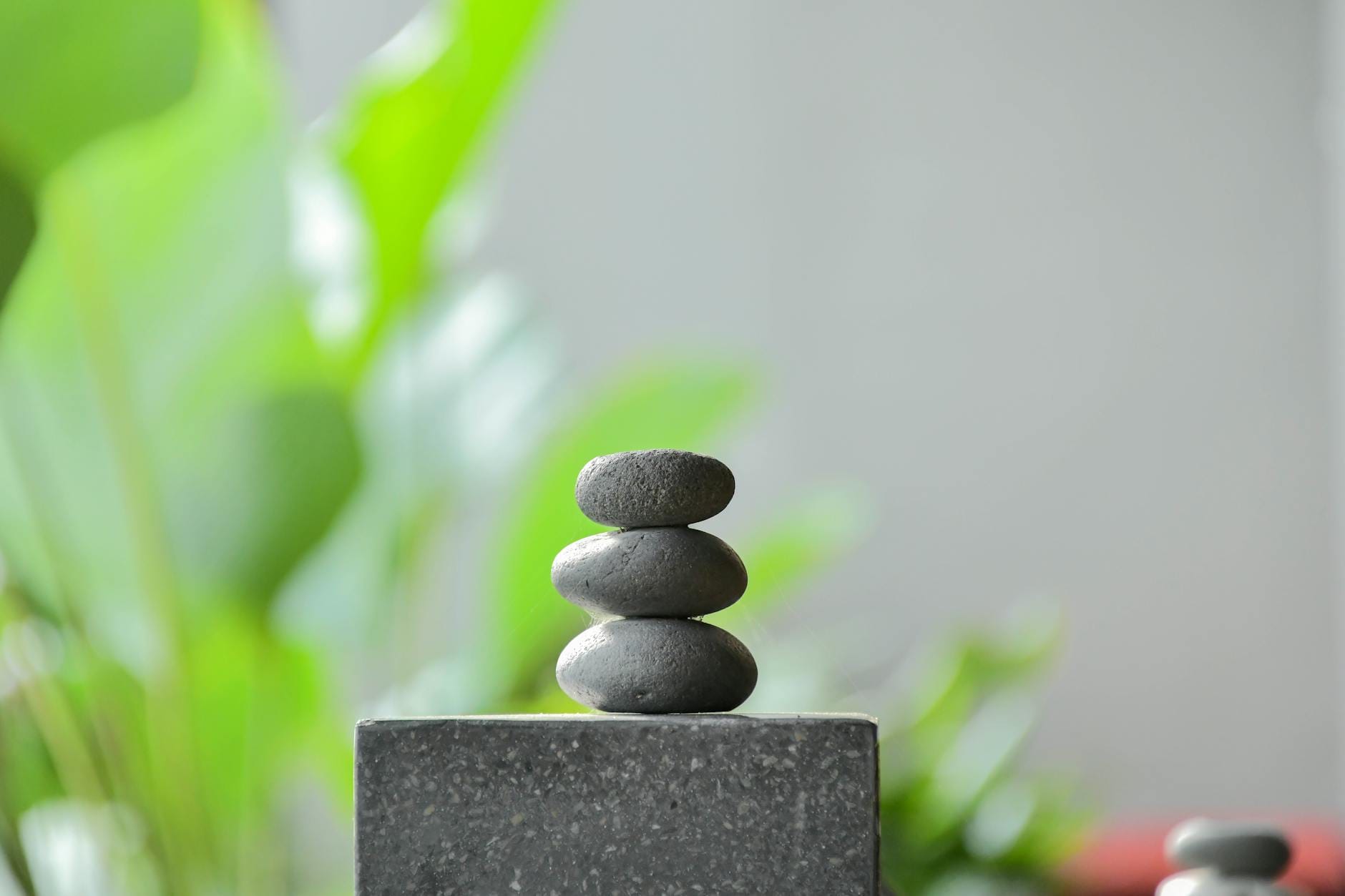 Bangkok-Famous VE/LA To Open In SG With Boba Coffee And Matcha Smoothies Post feature image