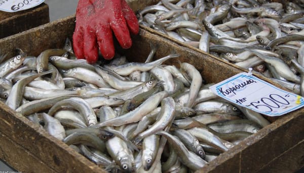 Will Hai Kah Lang’s seafood noodle wow Singapore foodies