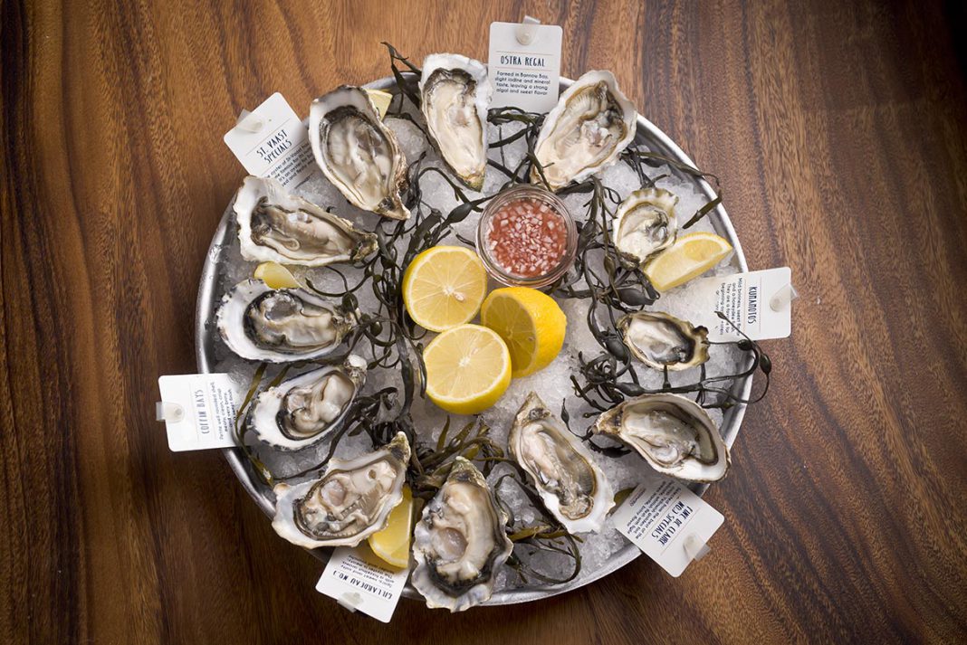 Oysters